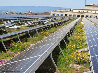 découvrez comment les toitures végétalisées combinées avec des panneaux solaires offrent une solution durable et esthétique pour améliorer l'efficacité énergétique de votre maison tout en contribuant à la biodiversité et à la réduction de l'empreinte carbone.