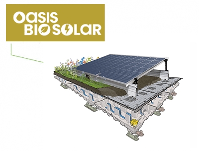 découvrez les avantages des toitures végétalisées combinées avec l'énergie solaire. alliez écologie et économies d'énergie tout en embelissant votre habitat grâce à des solutions innovantes et durables.