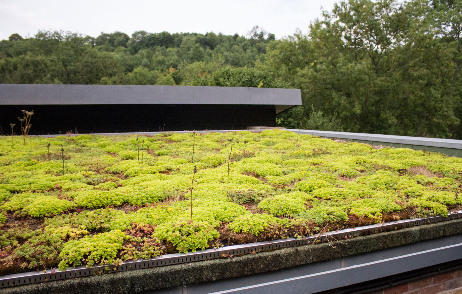 découvrez les avantages d'une toiture végétalisée : un espace vert pour votre maison, amélioration de l'isolation thermique, réduction des nuisances sonores et contribution à la biodiversité. transformez votre toit en un véritable jardin et participez à la protection de l'environnement.
