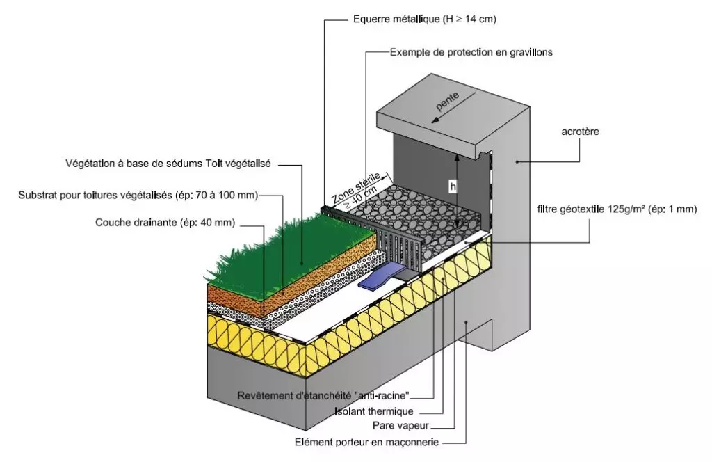 découvrez les avantages des toitures végétalisées : une solution écologique pour améliorer l'isolation, réduire les bruits urbains et favoriser la biodiversité tout en embellissant votre espace. optez pour une toiture verte et durable pour allier esthétisme et respect de l'environnement.