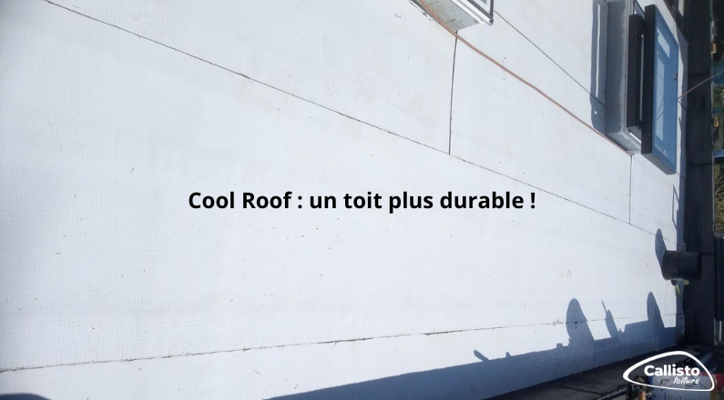 découvrez les avantages des toitures blanches : économies d'énergie, esthétisme moderne et protection environnementale. optez pour des solutions durables et élégantes pour votre maison.