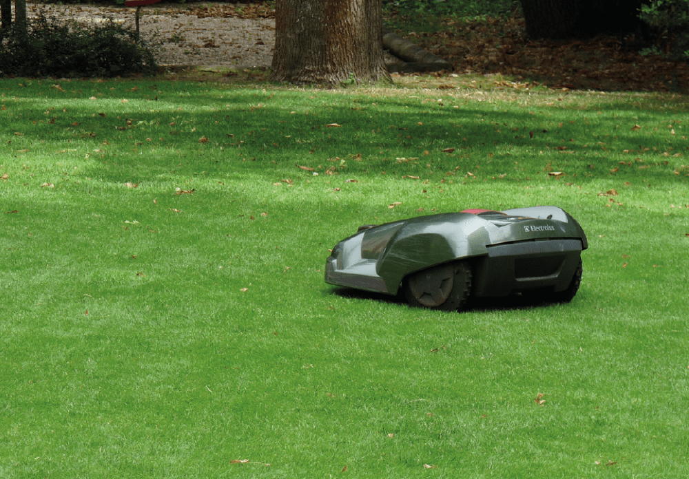 découvrez l'efficacité et la praticité d'une tondeuse robot, l'alliée idéale pour entretenir votre pelouse sans effort. profitez d'une coupe parfaite et d'un jardin toujours soigné grâce à cette technologie innovante qui s'adapte à votre espace extérieur.