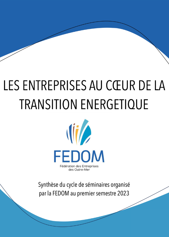 découvrez comment les entreprises peuvent réussir leur transition énergétique en adoptant des stratégies durables et innovantes. explorez les bénéfices écologiques et économiques d'une transition vers des sources d'énergie renouvelables pour un avenir plus vert.