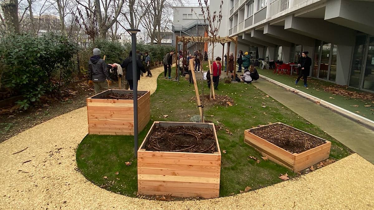 découvrez comment la végétalisation des collectivités transforme nos espaces urbains en lieux de vie harmonieux et durables. explorez les bienfaits environnementaux et sociaux de ces initiatives vertes qui favorisent la biodiversité et améliorent le cadre de vie des citoyens.