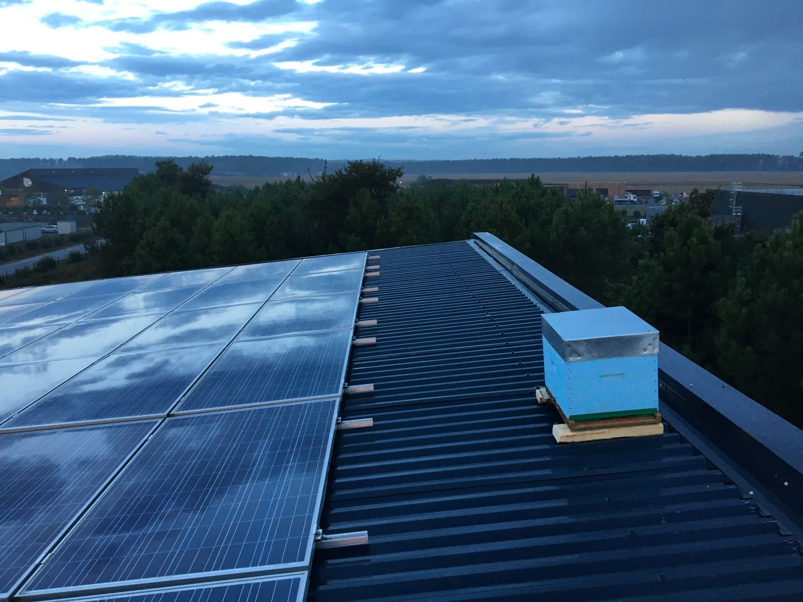 découvrez comment la végétalisation et les panneaux photovoltaïques sur les toits peuvent contribuer à un environnement durable tout en améliorant l'esthétique de votre espace. explorez les avantages économiques et écologiques de cette combinaison innovante et engagez-vous vers un avenir plus vert.