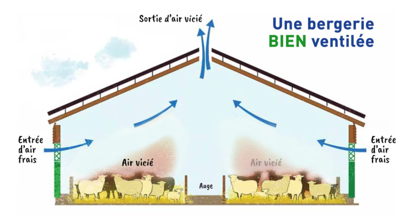 découvrez les avantages de la ventilation naturelle pour améliorer la qualité de l'air et réduire la consommation d'énergie dans votre habitation. apprenez à optimiser votre espace de vie tout en respectant l'environnement.