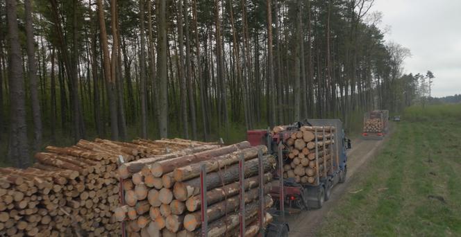 découvrez comment voltalia et ikea collaborent pour promouvoir l'éco-responsabilité. explorez les initiatives durables mises en place pour réduire l'empreinte carbone et soutenir un avenir plus vert.