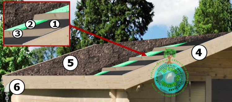 découvrez notre abri de jardin avec toit végétalisé, alliant design contemporain et écologie. idéal pour stocker vos outils tout en respectant l'environnement, cet abri devient un véritable atout esthétique pour votre jardin. adoptez une solution durable et esthétique pour vos espaces extérieurs.