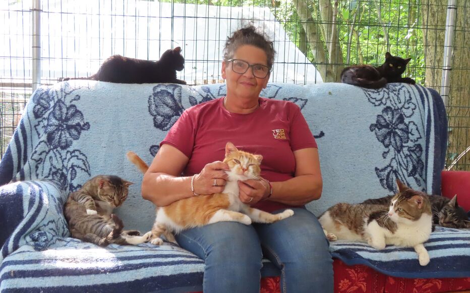 découvrez tout sur les animaux qui peuvent envahir votre toiture. apprenez comment les prévenir, les identifier et les éloigner pour protéger votre maison et votre tranquillité.