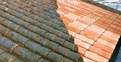 découvrez les solutions efficaces d'anti mousse pour toiture. protégez votre toit des mousses et lichens tout en préservant son esthétique. optez pour un entretien durable et optimisez la longévité de votre toiture.