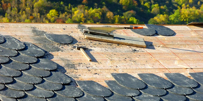 découvrez l'ardoise, un matériau naturel et élégant, parfait pour vos projets de décoration et d'aménagement. que ce soit pour des toits, des revêtements ou des créations artistiques, l'ardoise allie esthétisme et durabilité. explorez ses multiples applications et laissez-vous inspirer par sa beauté intemporelle.