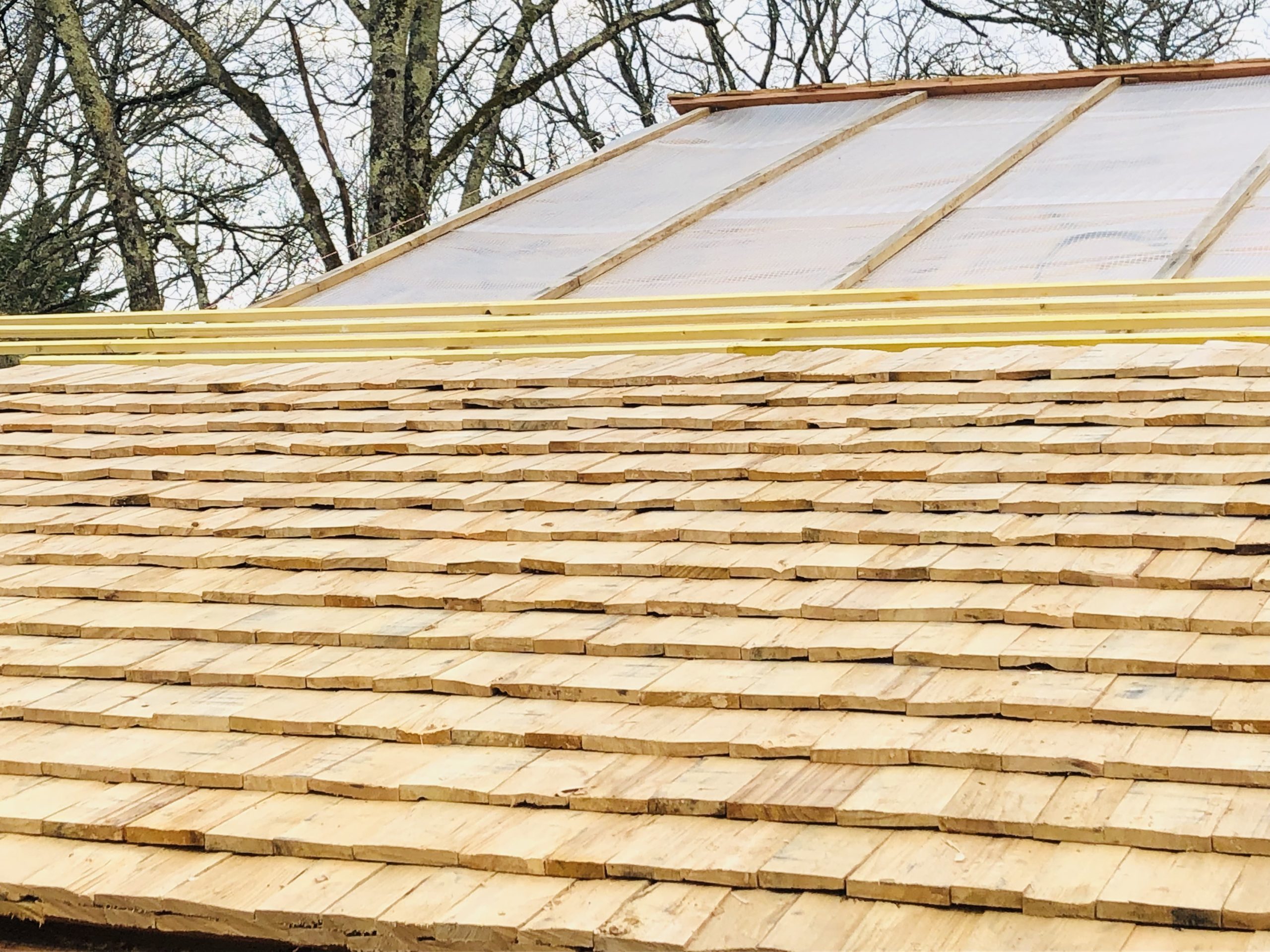 découvrez notre sélection de bardeaux en bois, idéaux pour habiller vos constructions extérieures avec élégance et durabilité. parfaits pour créer une ambiance chaleureuse, nos bardeaux allient esthétisme et performance, tout en respectant l'environnement.