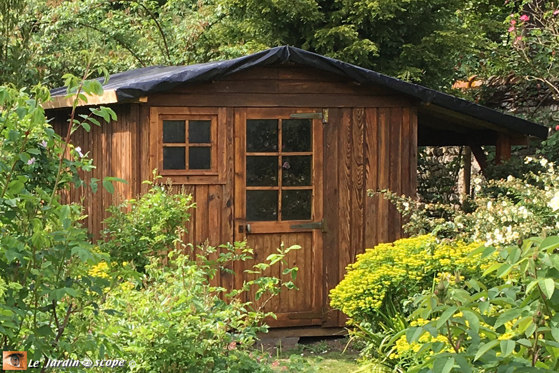 découvrez notre cabane végétalisée, un espace unique alliant confort et nature. parfaite pour se ressourcer, cette cabane éco-responsable s'intègre harmonieusement dans son environnement, offrant une expérience immersive au cœur de la verdure.