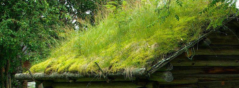 découvrez notre cabane végétalisée, un espace unique alliant nature et confort. idéale pour un séjour reposant en pleine nature, cette cabane est entourée de verdure et conçue pour harmoniser vie moderne et environnement. parfaite pour les amoureux de la nature, elle vous offre une expérience de déconnexion inoubliable.