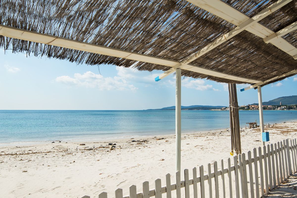 découvrez notre canisse pour pergola, idéale pour créer un espace extérieur ombragé et esthétique. protégez-vous du soleil tout en ajoutant une touche décorative à votre jardin ou terrasse.