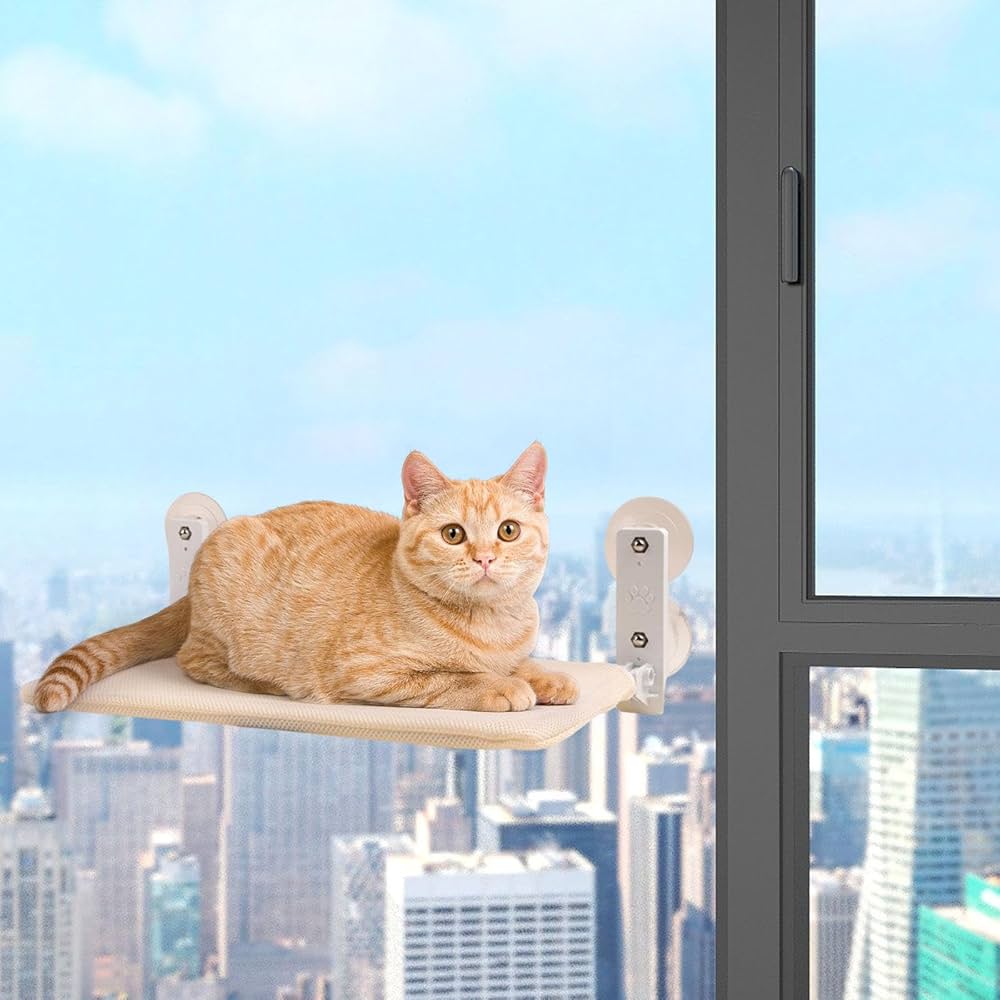 découvrez tout sur les chats en milieu urbain : conseils pour leur bien-être dans un immeuble, astuces pour les intégrer à votre quotidien et savoir comment les protéger des dangers de la ville.