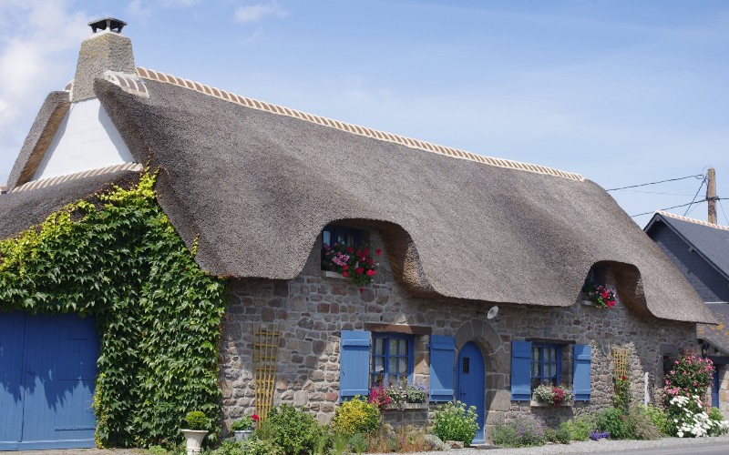 découvrez l'univers fascinant du chaume, un matériau traditionnel utilisé dans la construction de toits en paille. cette technique ancienne offre non seulement une esthétique unique, mais également des avantages écologiques et une bonne isolation thermique. plongez dans l'histoire et les applications modernes du chaume dans l'architecture durable.