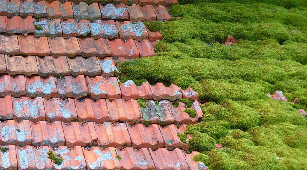 découvrez nos services de démoussage professionnels pour redonner vie à votre toiture et à vos surfaces extérieures. protégez votre habitat des nuisances causées par la mousse et les algues grâce à nos techniques efficaces et respectueuses de l'environnement.