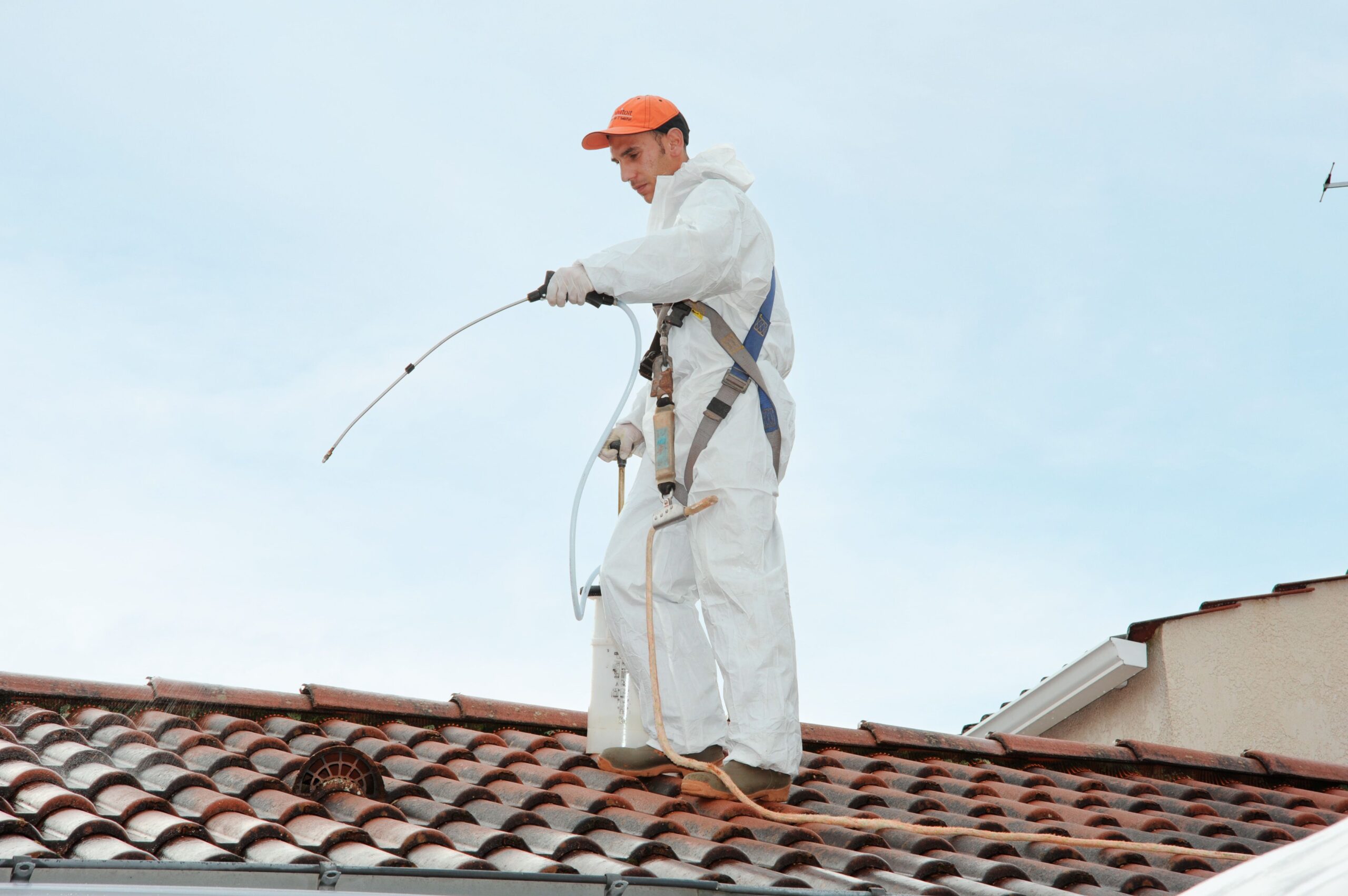 découvrez nos services de démoussage de toit pour restaurer l'éclat et la durabilité de votre toiture. protégez votre maison des dégâts causés par la mousse et les algues grâce à nos techniques professionnelles et respectueuses de l'environnement.
