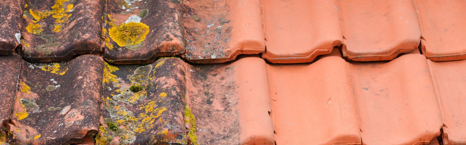 découvrez nos services de démoussage de toit pour préserver l'intégrité et l'esthétique de votre habitation. profitez d'une toiture propre et durable grâce à nos techniques professionnelles et efficaces.