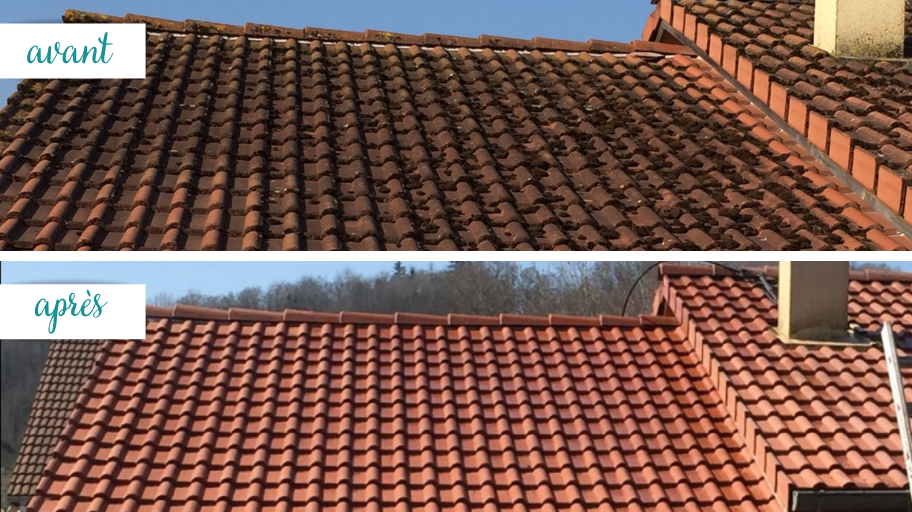 découvrez nos conseils et techniques efficaces pour démousser votre toit. protégez votre habitation des dégâts causés par la mousse et améliorez l'esthétique de votre toiture avec nos astuces simples et pratiques.