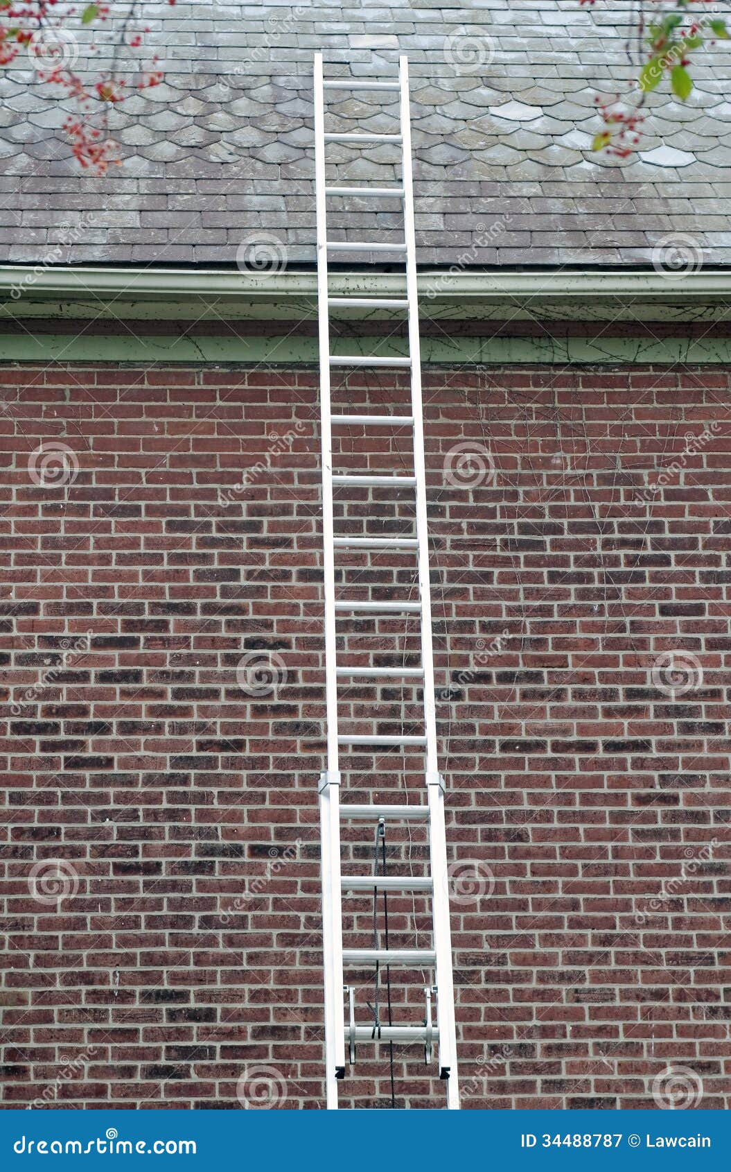 découvrez notre échelle spécialement conçue pour accéder en toute sécurité à votre toit en ardoise. idéale pour les travaux d'entretien et de rénovation, elle garantit stabilité et simplicité d'utilisation. parfaite pour les professionnels comme pour les particuliers.