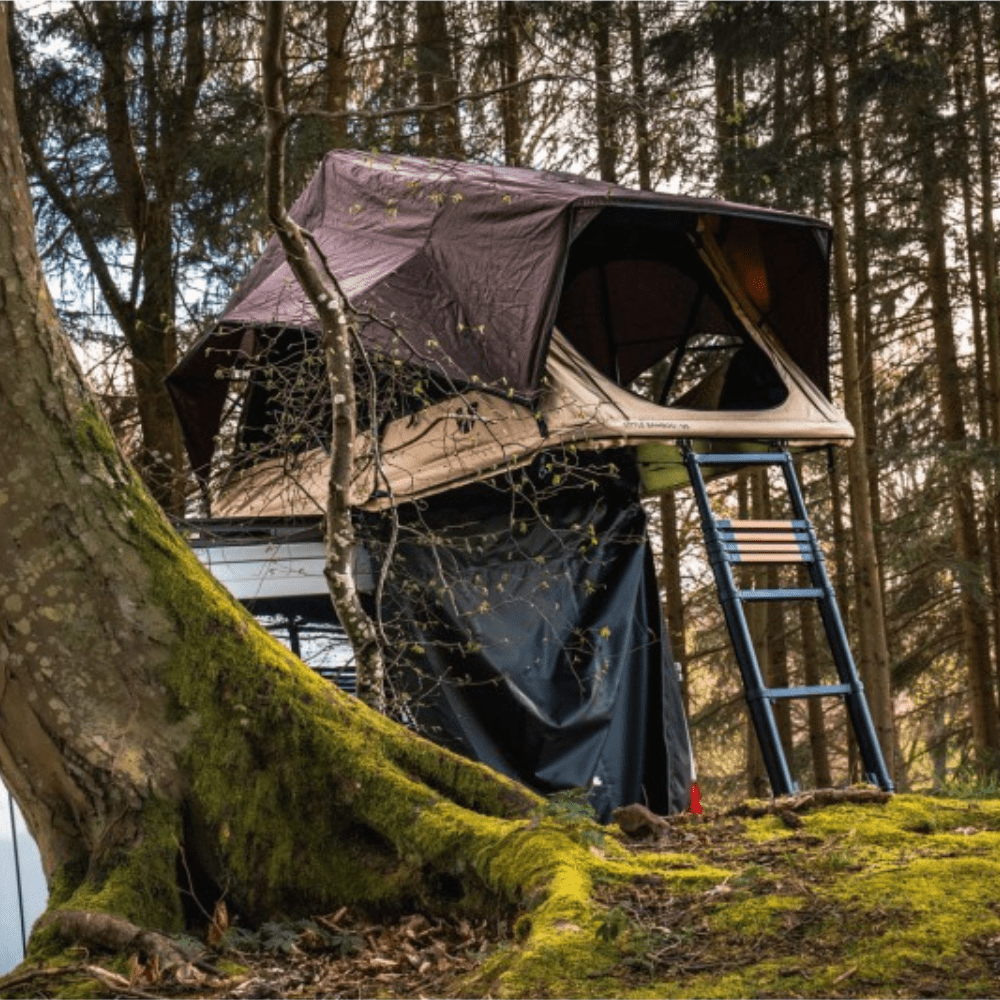 découvrez notre sélection d'échelles de toit adaptées à tous vos besoins. robustes et sécurisées, nos échelles vous permettent d'accéder facilement à votre toiture pour des travaux d'entretien ou de réparation. choisissez la qualité et la sécurité pour vos projets en hauteur.