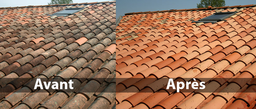 découvrez nos conseils pratiques pour enlever la mousse sur votre toit efficacement. protégez votre maison et prolongez la vie de votre toiture grâce à nos méthodes simples et des produits adaptés. ne laissez pas la mousse nuire à votre habitation !