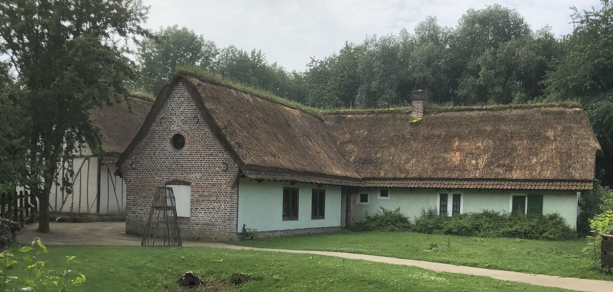 découvrez nos conseils et services pour l'entretien de votre toit en chaume. prolongez la durabilité de votre toiture et préservez son esthétisme grâce à des techniques adaptées et un savoir-faire professionnel. contactez-nous pour un devis personnalisé !