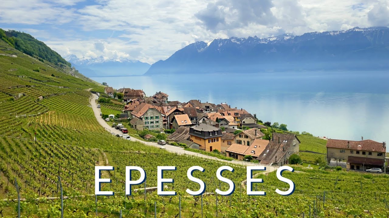 découvrez les épesses, ces délices naturels riches en saveurs et en bienfaits pour la santé. explorez leurs originaux usages en cuisine et apprenez tout sur leurs propriétés nutritionnelles.