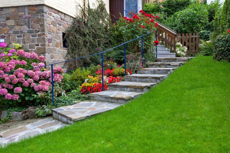 découvrez notre sélection d'escaliers pour terrasse, alliant design moderne et fonctionnalité. transformez votre espace extérieur avec des solutions esthétiques et durables, adaptées à tous vos besoins.