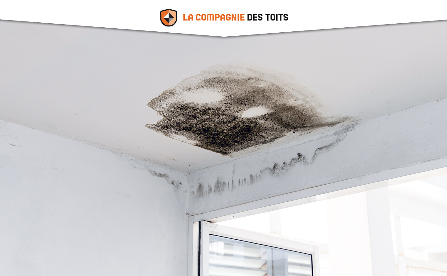 découvrez les causes courantes des fuites de toit, des solutions efficaces pour les réparer et des conseils d'entretien pour protéger votre maison contre les intempéries.