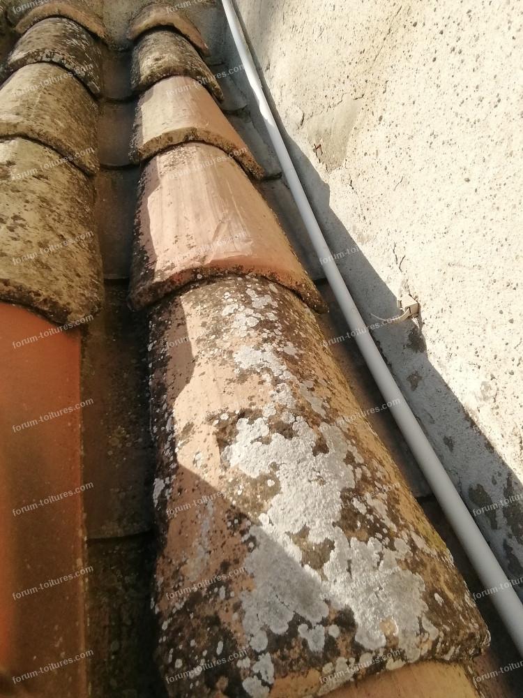 découvrez comment identifier et réparer une fuite de toiture pour protéger votre maison des dommages causés par l'eau. nos conseils pratiques vous aideront à maintenir l'intégrité de votre toit et à prévenir les problèmes futurs.