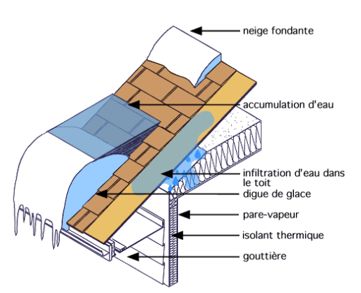 découvrez comment identifier et réparer les infiltrations d'eau dans votre toit. protégez votre maison des dommages causés par les fuites grâce à nos conseils d'experts en entretien et rénovation de toiture.
