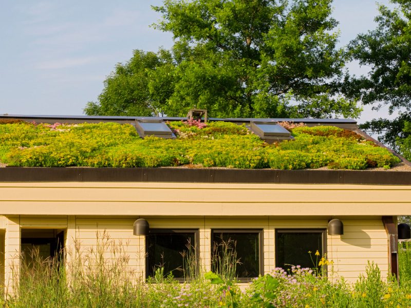 découvrez les avantages de l'isolation par toit végétalisé : une solution écologique qui améliore l'efficacité énergétique de votre maison, réduit les bruits extérieurs et contribue à la biodiversité. optimisez votre confort tout en préservant l'environnement !