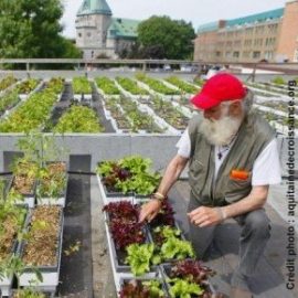 découvrez comment transformer votre espace extérieur en un magnifique jardin sur toit. profitez d'un havre de paix en milieu urbain avec des conseils sur le choix des plantes, l'aménagement et l'entretien de votre oasis verte en hauteur.
