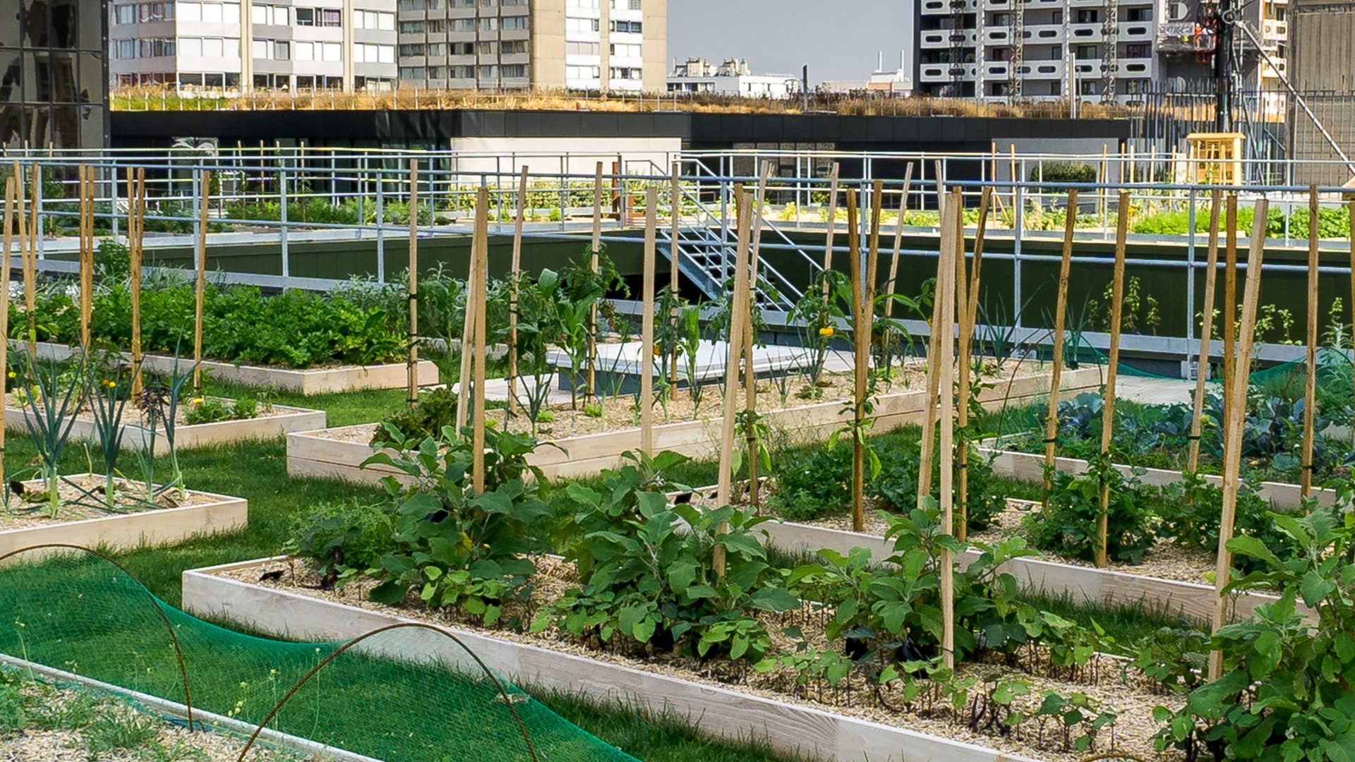 découvrez les avantages d'un jardin sur toit : un espace vert apaisant en milieu urbain, idéal pour se détendre, cultiver des plantes et profiter d'une vue imprenable. transformez votre toit en véritable havre de paix !