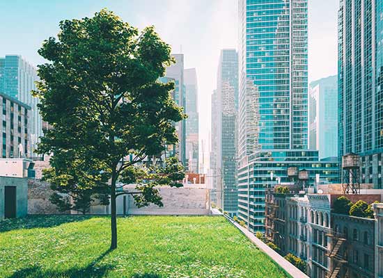 découvrez comment transformer votre espace urbain en un havre de paix avec un jardin sur toit. idées, conseils et astuces pour maximiser l'esthétique et la fonctionnalité de votre toit tout en créant un écosystème bénéfique.