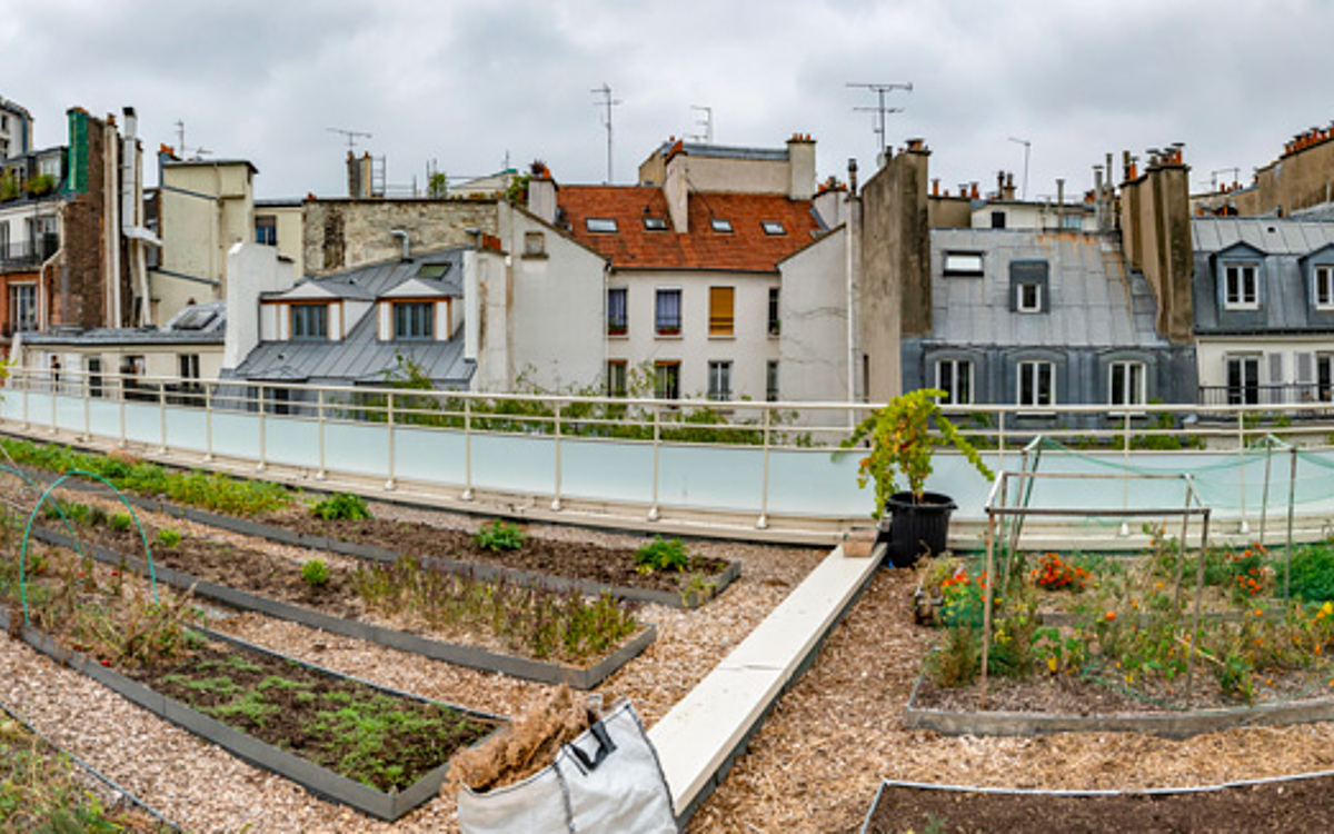 découvrez comment transformer votre espace extérieur en un magnifique jardin sur toit. aménagement, conseils et inspirations pour créer un havre de paix vert en hauteur.