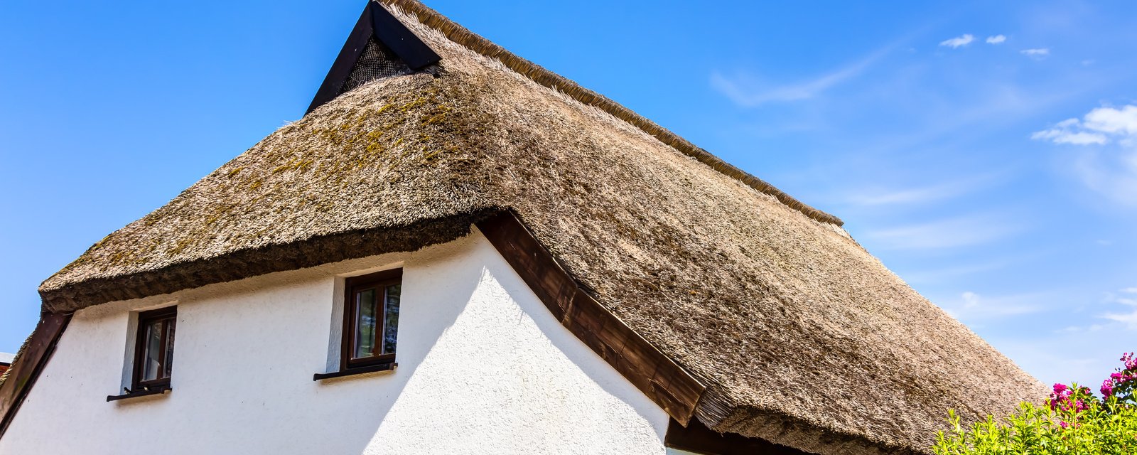 découvrez la maison chaume, un havre de paix où l'architecture traditionnelle rencontre le confort moderne. profitez d'un cadre enchanteur pour vos moments de détente et d'évasion.