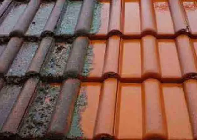 découvrez nos services professionnels de nettoyage de toit en tuiles. redonnez vie à votre toiture grâce à notre expertise et des techniques adaptées pour éliminer mousses, algues et salissures. protégez votre maison tout en améliorant son esthétique avec notre équipe qualifiée.