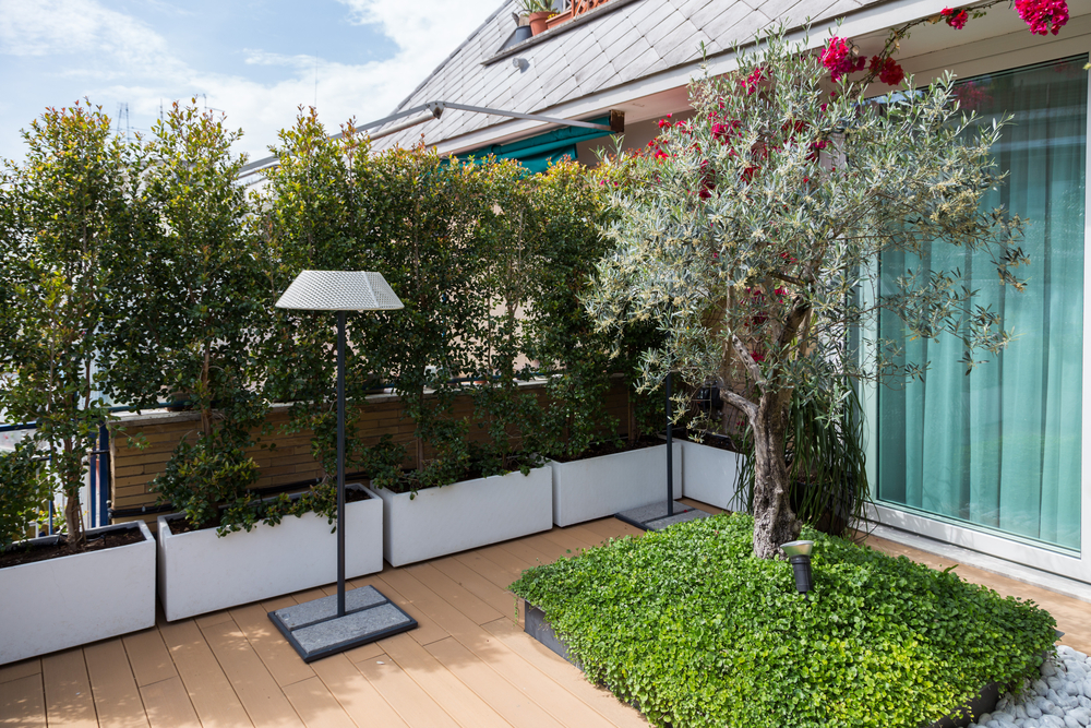 découvrez notre sélection de plantes idéales pour embellir votre terrasse. créez un espace convivial et verdoyant avec des variétés adaptées à votre climat et à votre style. aménagez un coin de paradis où il fait bon se détendre et profiter des beaux jours.
