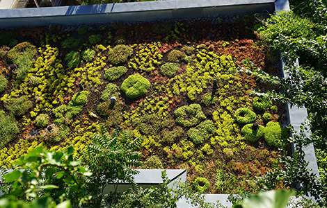 découvrez les avantages et les techniques de création d'un toit végétal, une solution écologique et esthétique pour améliorer l'isolation de votre maison tout en favorisant la biodiversité.