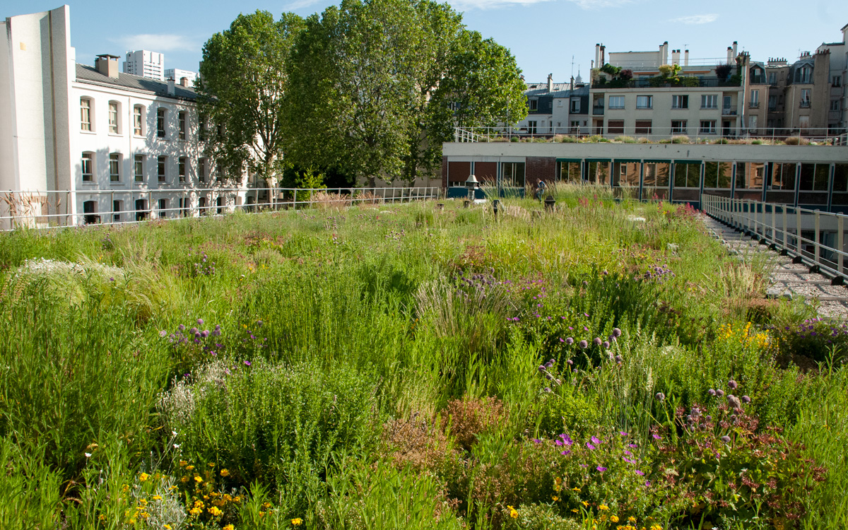 découvrez comment embellir votre toit terrasse avec des plantes adaptées. transformez votre espace extérieur en un jardin suspendu grâce à nos conseils sur les meilleures espèces, l'entretien et les aménagements pour créer un oasis de verdure et de sérénité en hauteur.