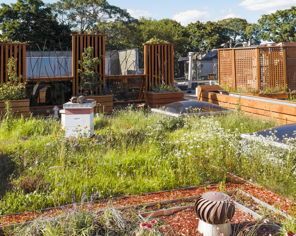 découvrez comment aménager votre toit terrasse avec des plantes variées pour créer un espace vert apaisant et écologique. transformez votre extérieur en un havre de paix verdoyant grâce à nos conseils sur le choix des plantes, l'entretien et l'esthétique.