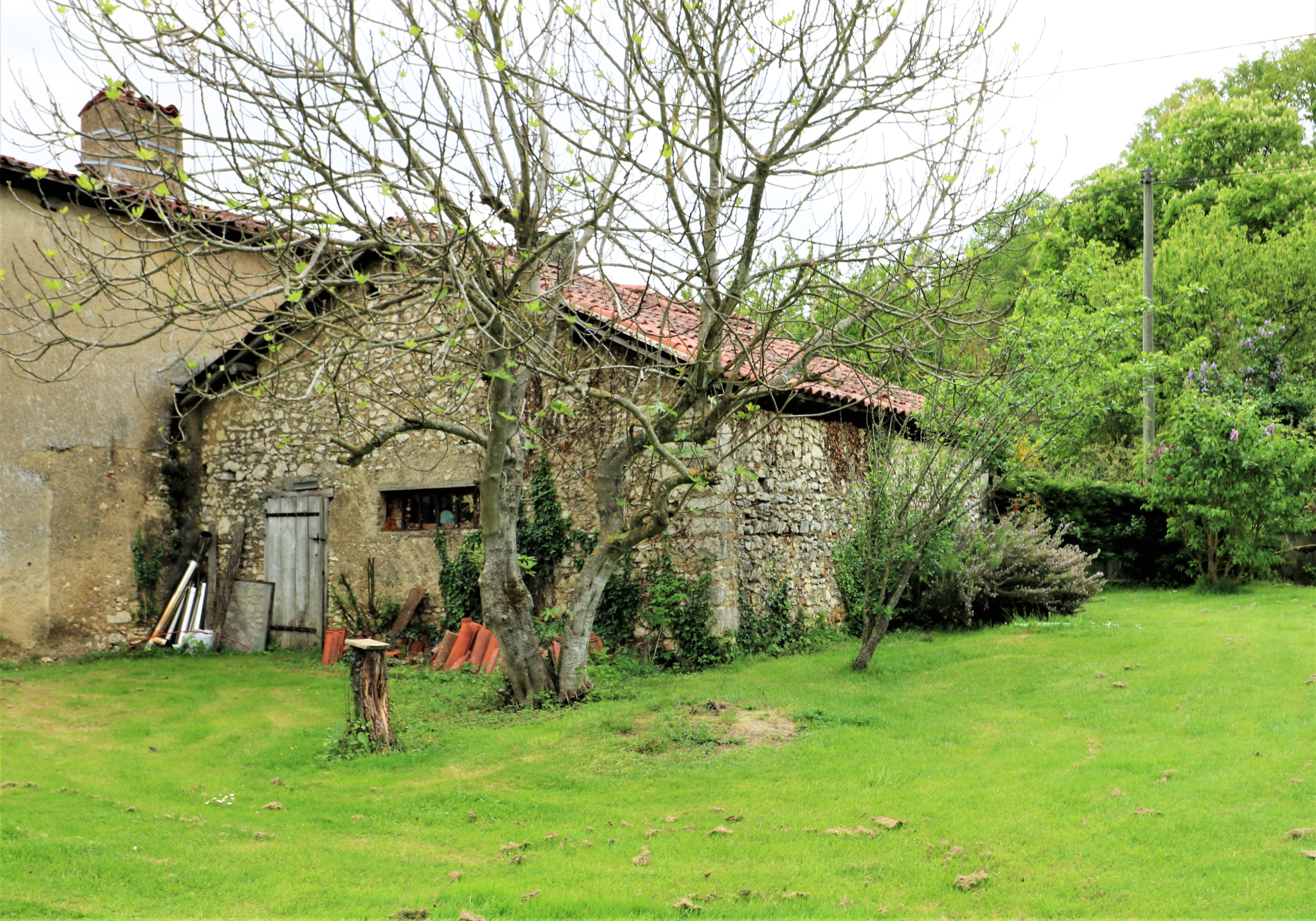 transformez votre garage en un potager innovant et durable ! découvrez nos astuces pratiques pour cultiver des légumes frais et sains dans un espace inattendu. profitez d'une récolte abondante tout en optimisant votre environnement.