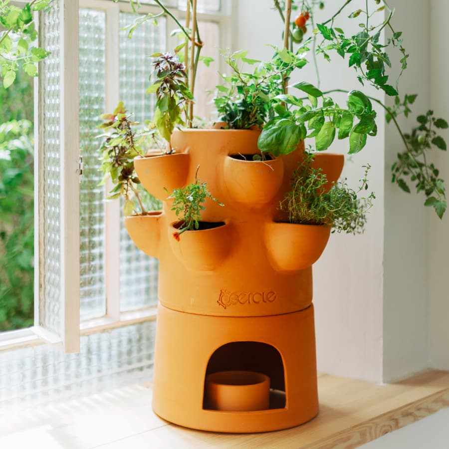 découvrez comment transformer votre terrasse en un potager luxuriant avec nos conseils pratiques et astuces de jardinage. cultivez vos propres légumes et herbes aromatiques dans un espace réduit tout en profitant d'une oasis verte en ville.