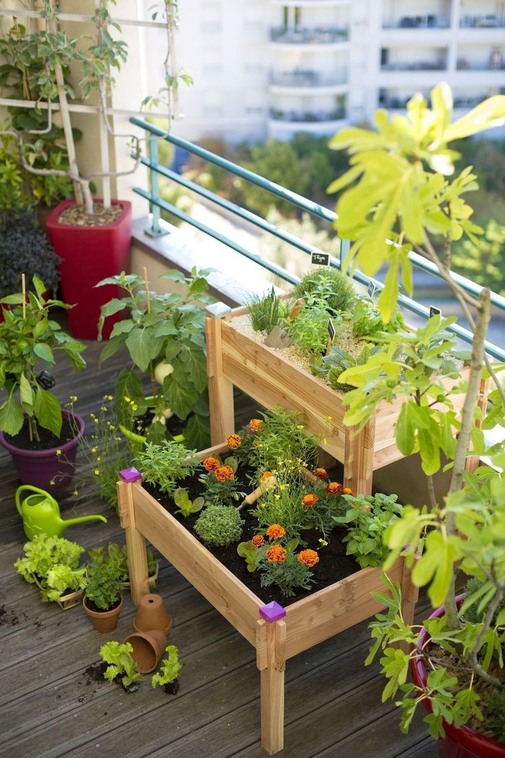découvrez comment créer un potager sur votre terrasse, idéal pour cultiver des légumes frais et savoureux, même dans les espaces réduits. conseils pratiques, astuces de jardinage et choix des plantes pour optimiser votre espace urbain.