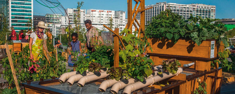 découvrez comment créer un potager urbain pour cultiver vos propres légumes et herbes en milieu citadin. apprenez des techniques simples et efficaces pour maximiser l'espace et profiter d'une récolte fraîche et savoureuse, tout en ajoutant une touche verte à votre environnement.