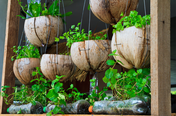 découvrez comment créer un potager urbain dans votre jardin ou sur votre balcon ! apprenez les meilleures astuces pour cultiver vos légumes et herbes fraîches en milieu urbain, tout en profitant des bienfaits de l'agriculture urbaine.